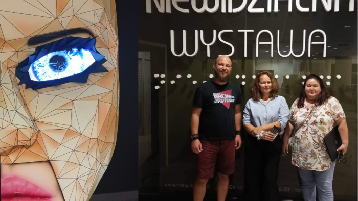 Social entrepreneurship - real and effective for the social economy in Poland