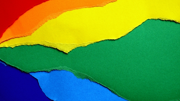 Comparing the Experiences of Bulgarian Rainbow Families Caught Between European Union Treaties and National Transgressions 